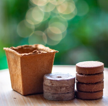 Biodegradable Coir Coin for Seed Germination 2 Natural coir coins ideal for healthy seedling growth