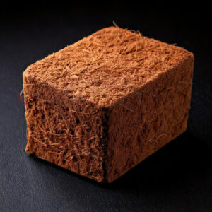 Eco-friendly cocopeat block for soil conditioning and plant growth