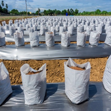 50 litre cocopeat bags for commercial and home gardening