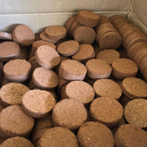 Compact Coir Coins for Home Gardening