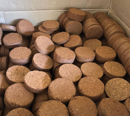 Biodegradable Coir Discs for Root Development Compact Coir Coins for Home Gardening