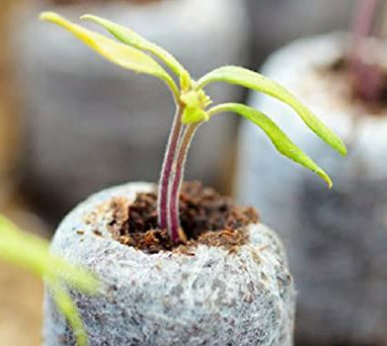 Coir Seed Starter Plugs Wrapped in Natural Cloth Biodegradable Coir Plugs for Seed Germination