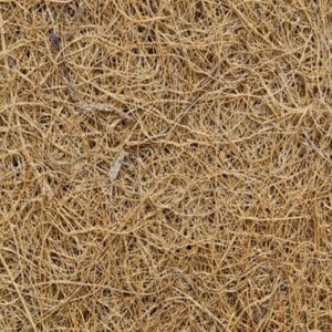 Brown coir fibre extracted from matured coconuts