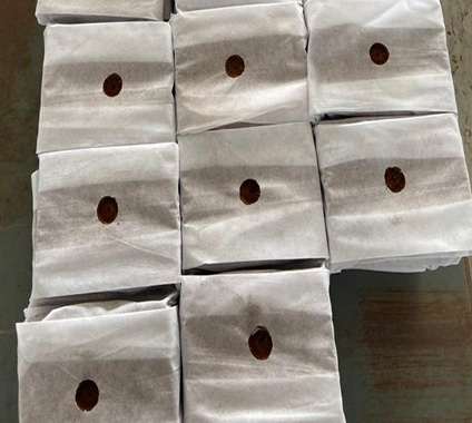 High-Quality Coir Grow Cubes for Fast Rooting Perfect Medium for Rapid Seedling Growth