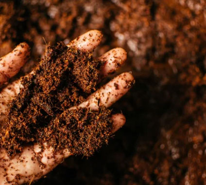 Moisture-Rich Treated Cocopeat for Gardening Treated Cocopeat Blocks for Farming