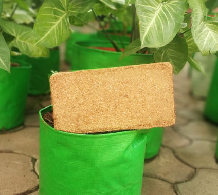 SVR Coirs bricks washed SVR Coirs bricks washed