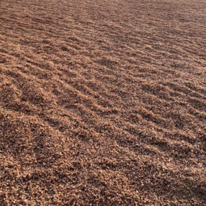 Buffered Husk Chips for Commercial Farming