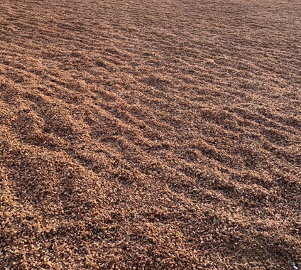 Sustainable Buffered Husk Chips for Horticulture Buffered Husk Chips for Commercial Farming