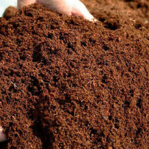 Highly Buffered Coir for Seed Germination