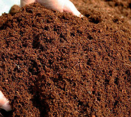 Ultra-Low EC Buffered Coir Highly Buffered Coir for Seed Germination